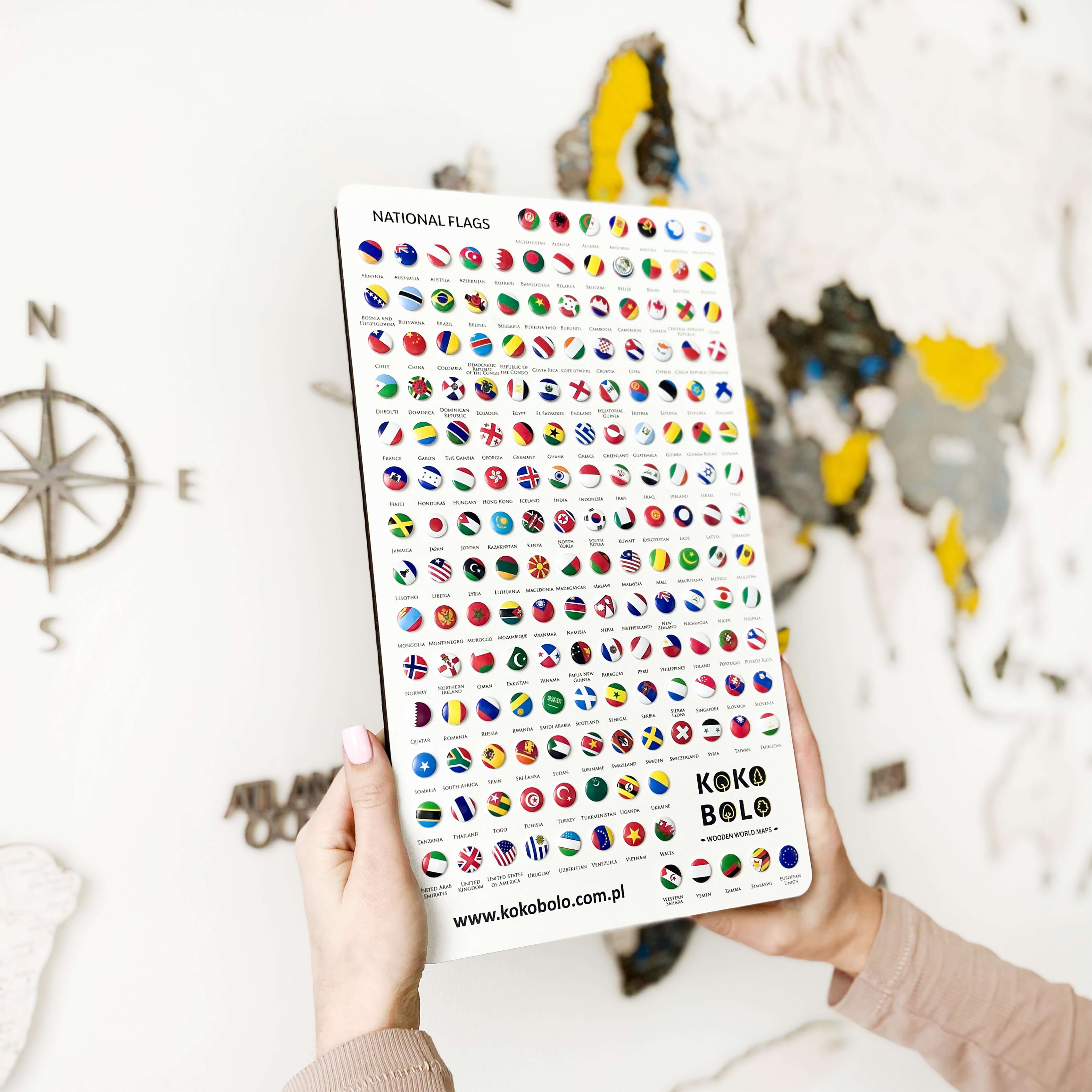 Push Pins for Wooden Maps